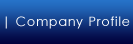 Company Profile